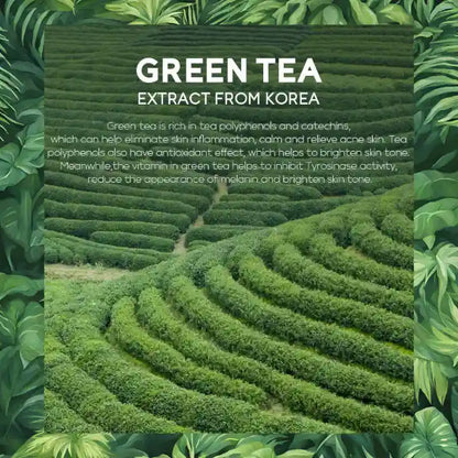 Crème hydratante au thé vert