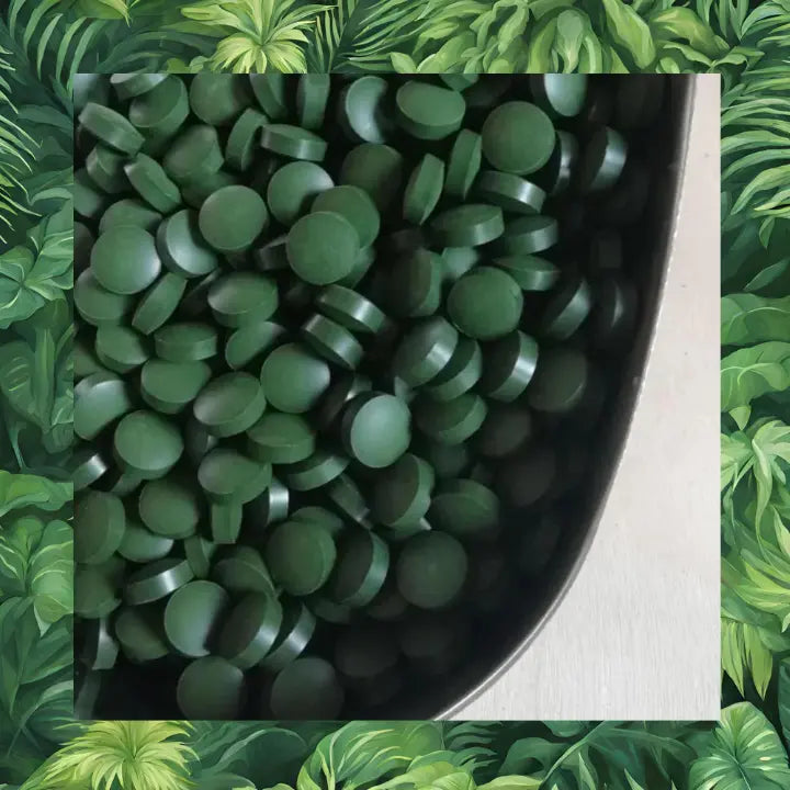 spiruline perte de poids