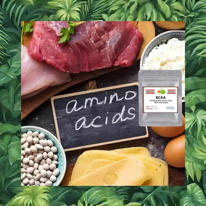 Complément alimentaire musculation acide aminé bcaa