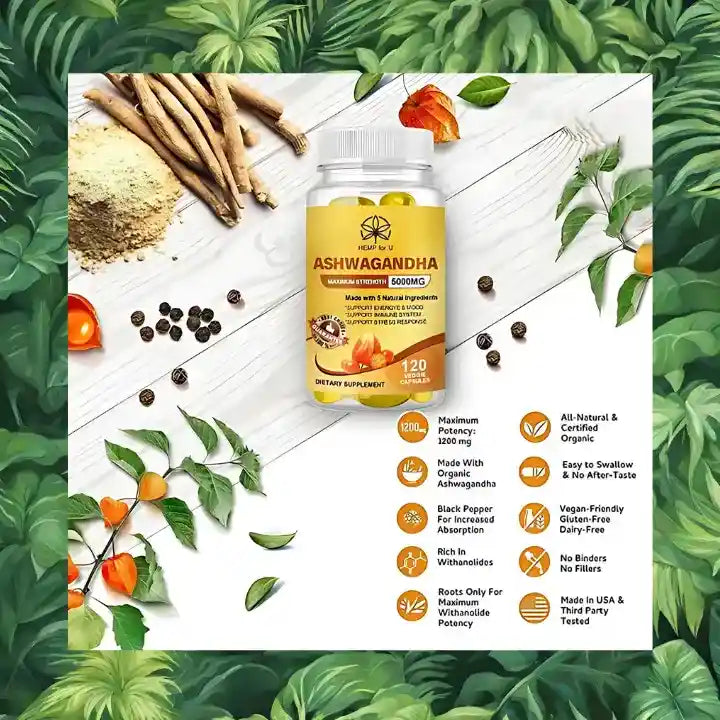 Ashwagandha musculation