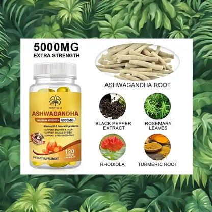 Ashwagandha musculation