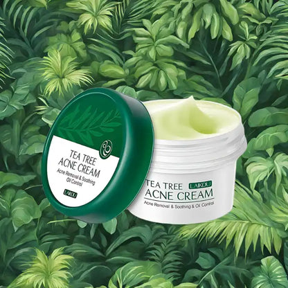 Creme acnée Tea Tree
