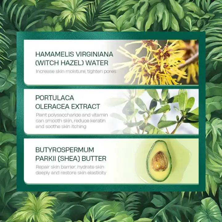 Creme acnée Tea Tree