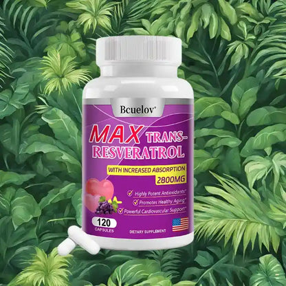 Gélule anti-cancer resvératrol