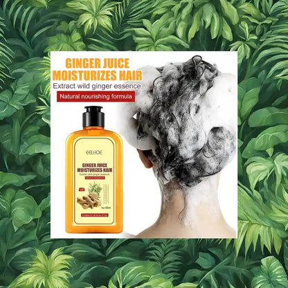Shampoing gingembre repousse cheveux